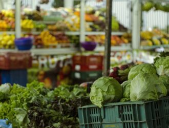 photo-1544671548-468830a0442c photo-1544671548-468830a0442c