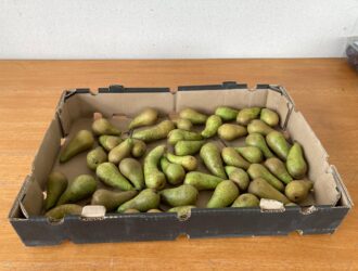 PHOTO-2024-06-13-15-44-06-1 PHOTO-2024-06-13-15-44-06-1