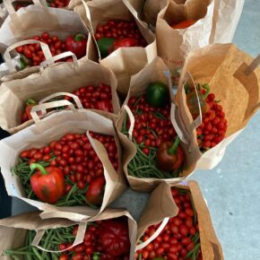 PHOTO-2024-06-13-15-44-06-3 PHOTO-2024-06-13-15-44-06-3