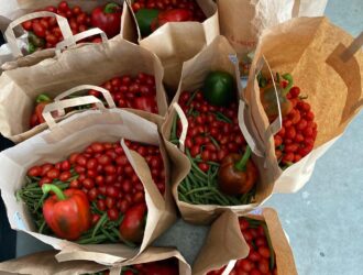 PHOTO-2024-06-13-15-44-06-3 PHOTO-2024-06-13-15-44-06-3